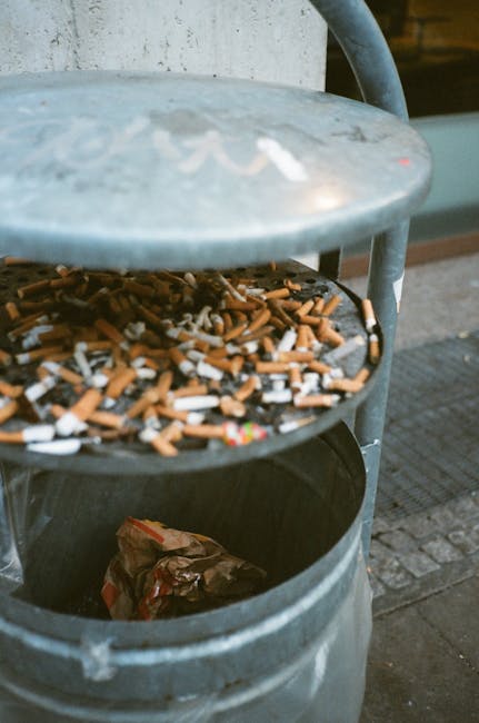 Westminster council rules for rubbish disposal in Mayfair